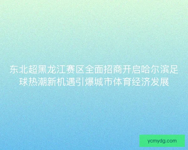 东北超黑龙江赛区全面招商开启哈尔滨足球热潮新机遇引爆城市体育经济发展